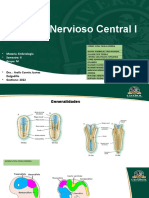 SNC Anatomía 