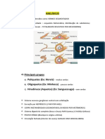 Anelídeos-Anotações 2