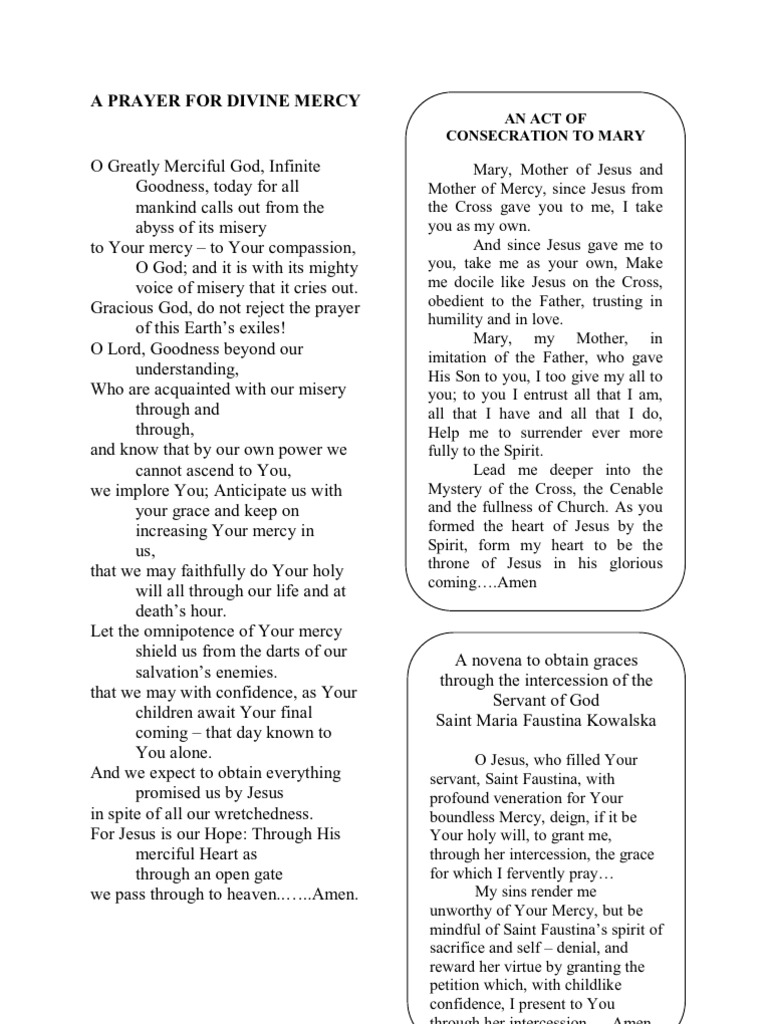 Divine Mercy Prayer Guide | PDF | Mercy | Grace In Christianity
