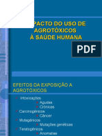 Impacto Do Uso de Agrotóxicos Na Saude Humana