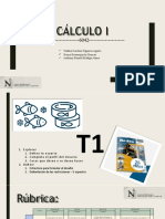 Calc1 - 6042 - Tip1 - #5