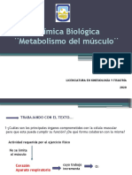 TPA Nº6 Metabolismo Energético Del Músculo