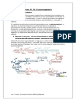 Tema 19 Ruta de Gluconeogenesis. Autor Alexander Sanchez Lamas.