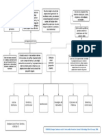 Infografía 5. Conducta Social Elemental