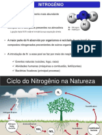 Assimilao de Nitrognio