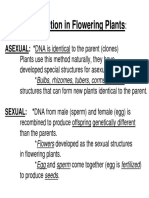 Reproduction in Plants