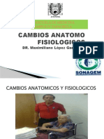 Fisiologia Envejecimiento 2021