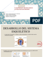 Presentación Anatomia