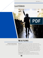 Relatório Wayumi - 2022
