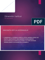 Dimension Vertical 