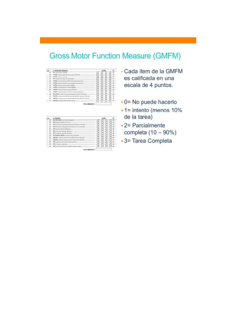 Escala Gross Motor PDF