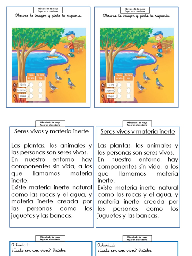 Seres Vivos y Materia Inerte Natural | PDF