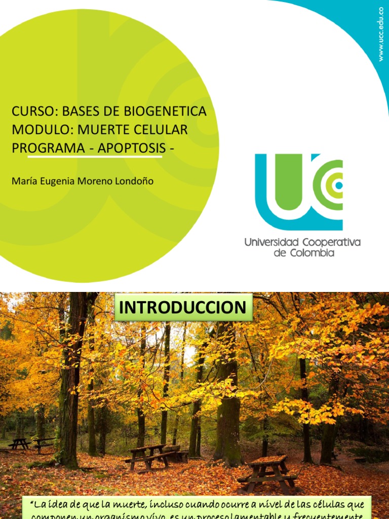 Muerte Celular Programada | PDF | P53 | Apoptosis