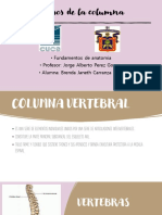 Presentacion Columna Vertebral