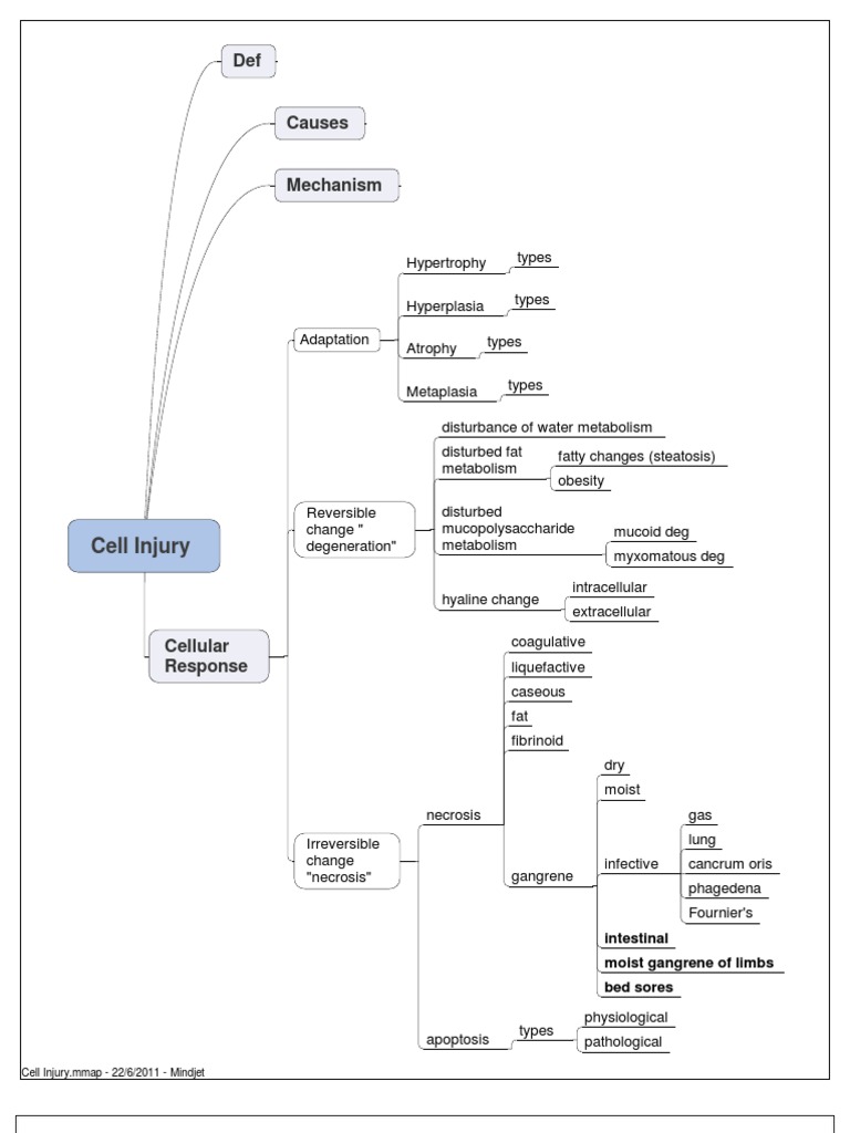 Cell Injury Intestinal Moist Gangrene of Limbs Bed Sores PDF Adenoma Lymphatic System