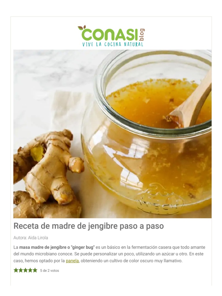 Receta de Madre de Jengibre Paso A Paso Blog Conasi PDF