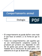 Comportamiento Animal