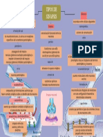 Tipos de Sinapsis