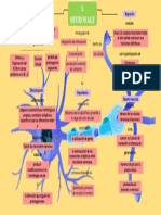 Mapa Conceptual - Mecanismos Neuronales