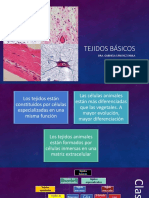 Tejidos BÁSICOS Paso A Paso GSF2020