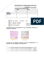 Evaluaciòn de La Primera Unidad Tipo Dos