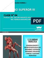 Clase 4 Morfofisiologia 2022