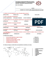 Examen Diagnostico