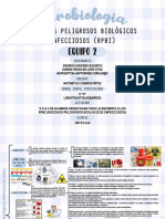 Residuos Peligrosos Biológicos Infecciosos Rpbi