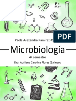 Apuntes Microbiologia