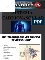 V NIVEL-SISTEMA CARDIOVASCULAR