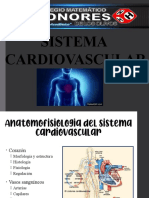 V Nivel-Sistema Cardiovascular