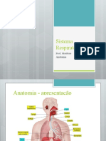 Sistema Respiratório