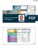 2) Day 1 - Cenozoic Sediments of Singapore