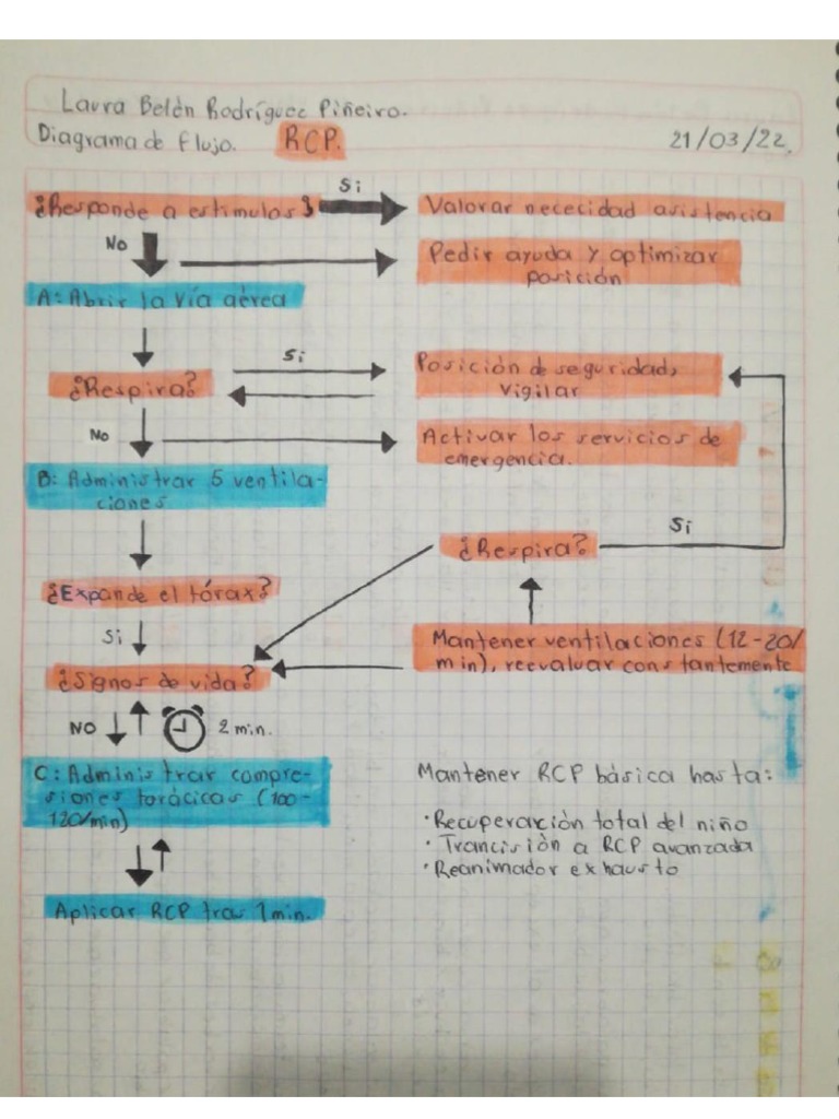 Diagrama de Flujo de La Técnica RCP | PDF