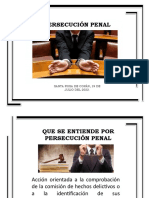 Persecucion Penal Diapositivas