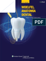 Woelfel Anatomia Dental