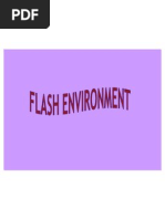 Flash Environment