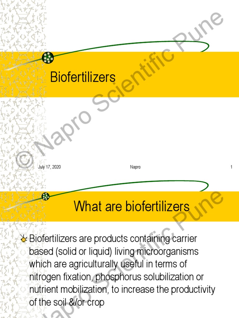 What Are Biofertilizers PDF Fertilizer Plant Nutrition