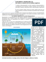 Descubrimos de Dónde Vienen y A Dónde Van Los Residuos Orgánicos