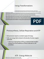 Unit 5 Energy Transformations