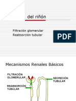 Fisiologia Del Riñon