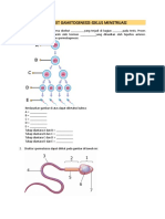 Worksheet Gametogenesis 2022