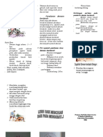 DHF Leaflet.2