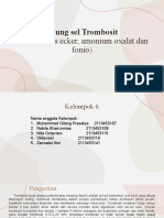 Hitung Trombosit 3 Metode (Rees Ecker, Ammonium Oxalat dan Fonio