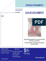 Cirurgia Guia Acolhimento 20-08-18