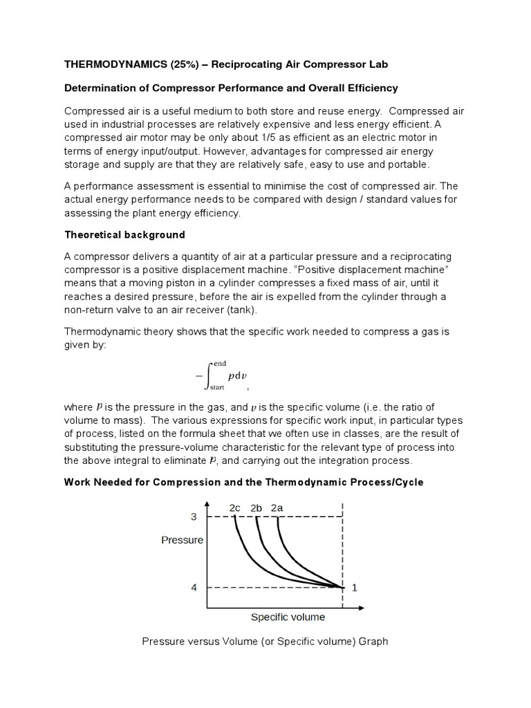 Determining the Performance and Efficiencies of a Reciprocating Air