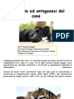 Psicologia Ed Ontogenesi Del Cane