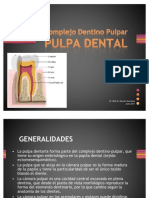 PULPA - Complejo Dentino Pulpar