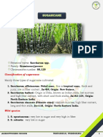 Sugarcane Cultivation Guide