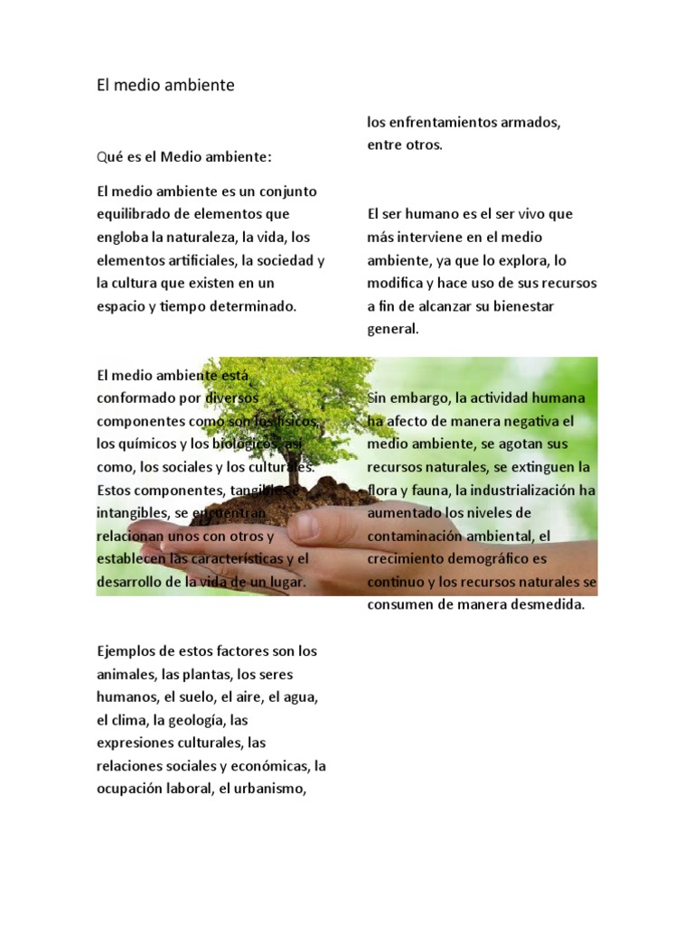 El Medio Ambiente | PDF